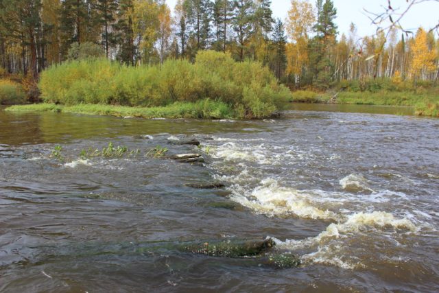 Остатки плотины старой мельницы