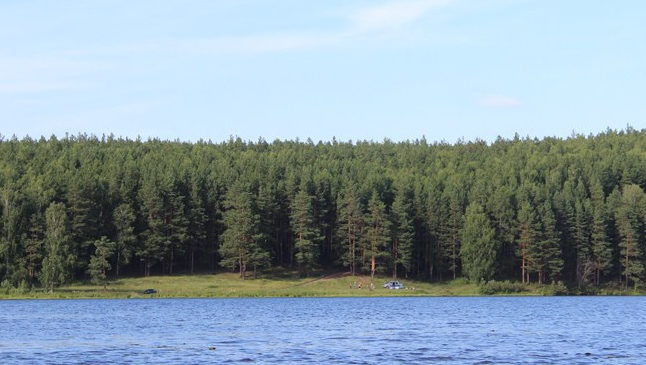 Межевое
