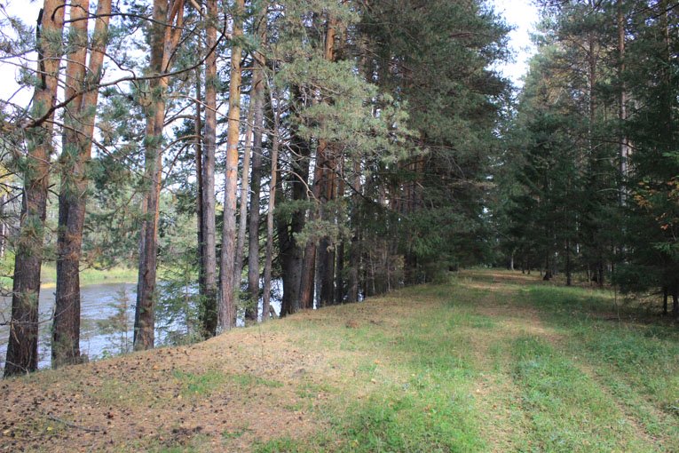 Прогулочная дорога вдоль Нейвы