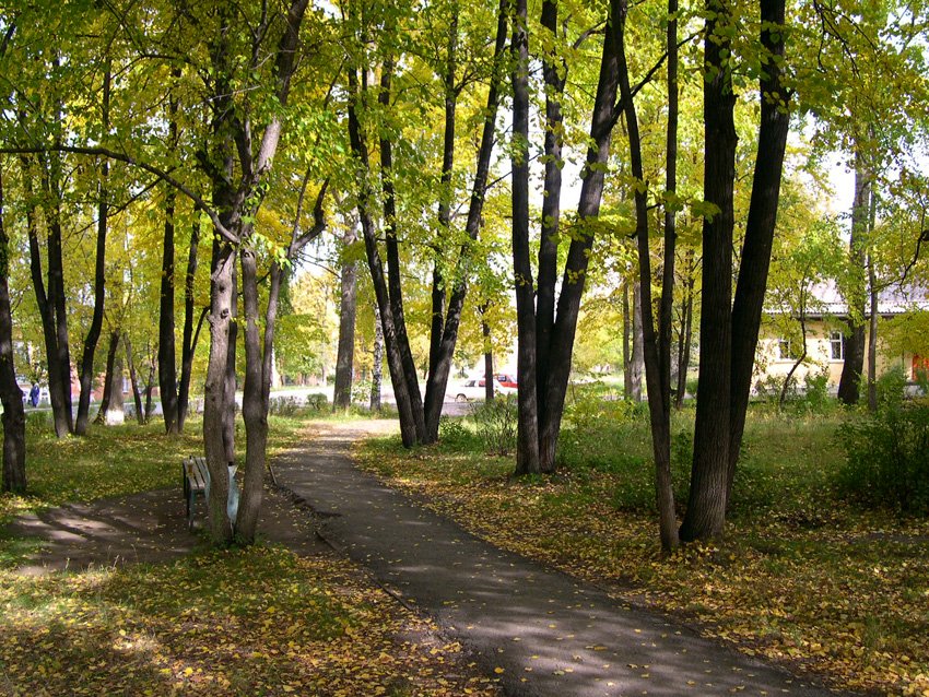 Реж. В старом парке. Фото 2004 года